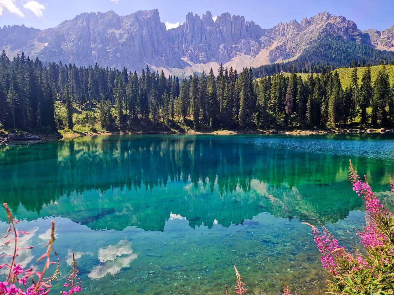 Things to Do in the Dolomites That Are Actually Worth It 30 Crystal-clear turquoise lake surrounded by lush evergreen trees with majestic mountains in the backdrop under a clear blue sky. Pink flowers frame the foreground, adding vibrant color to the picturesque landscape.